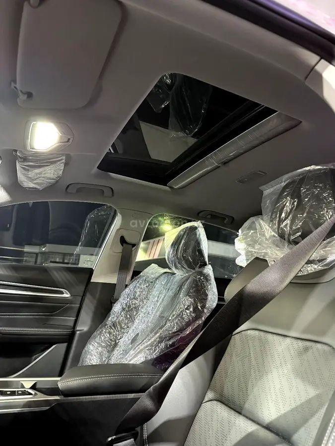 Geely Emgrand GSe — 5