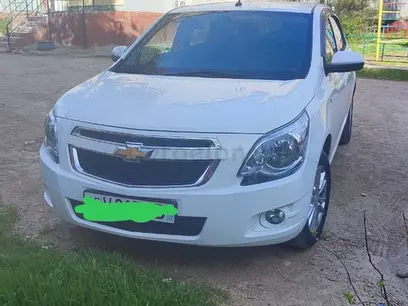 Chevrolet Cobalt, 4 позиция 2024 года, КПП Автомат, в Ташкент за 14 800 y.e. id4907514