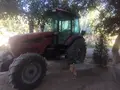 мтз 2017 yil, shahar Qarshi uchun 25 000 у.е. id6506510
