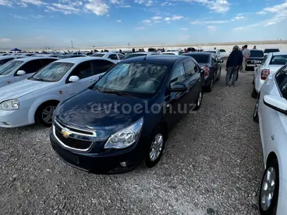 Синий Chevrolet Cobalt 2023 года, КПП Автомат, в Асакинский район за 12 000 y.e. id5121572