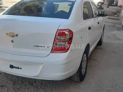 Белый Chevrolet Cobalt, 2 позиция 2024 года, КПП Механика, в Шерабадский район за ~12 381 y.e. id5227867