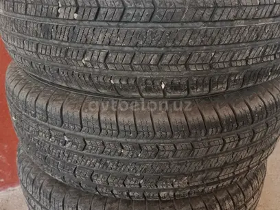 Zerex в Нурафшон за ~119 y.e. id6358689
