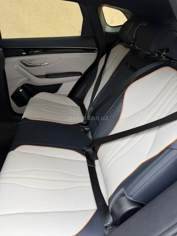 BYD Song Plus DM-i Champion — 4