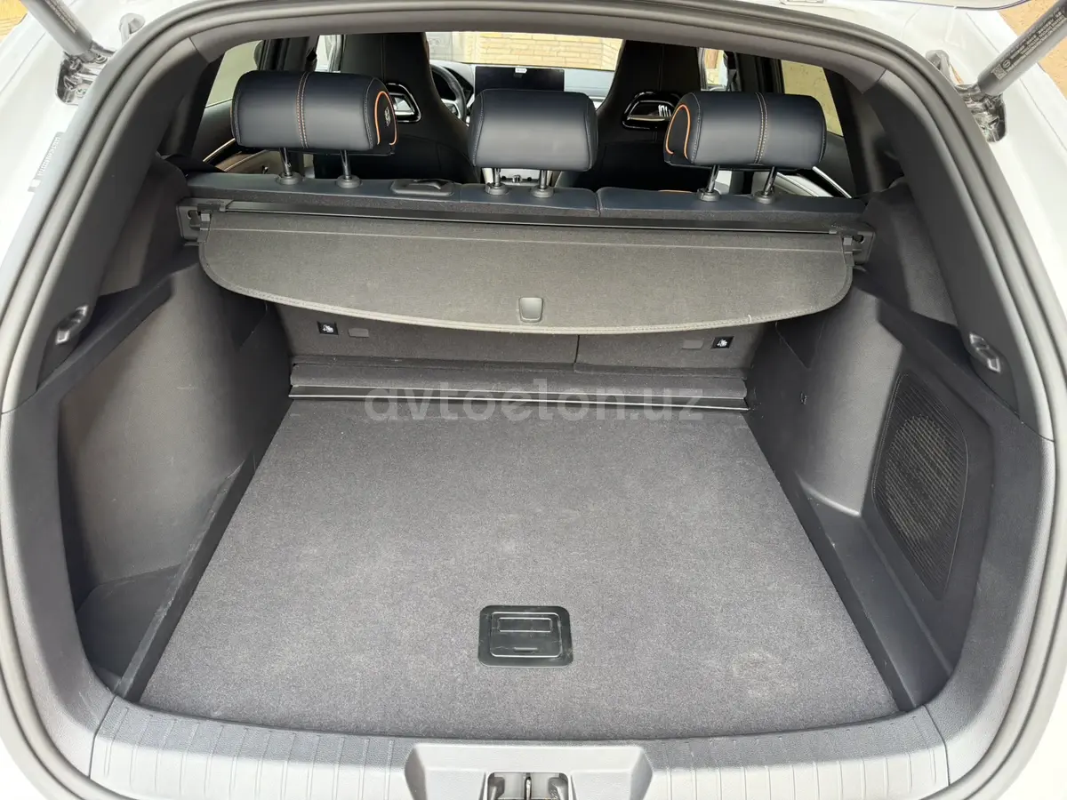 BYD Song Plus DM-i Champion — 5