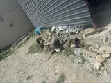 Mator karopka в Навои за 500 y.e. id6440338, Фото №1