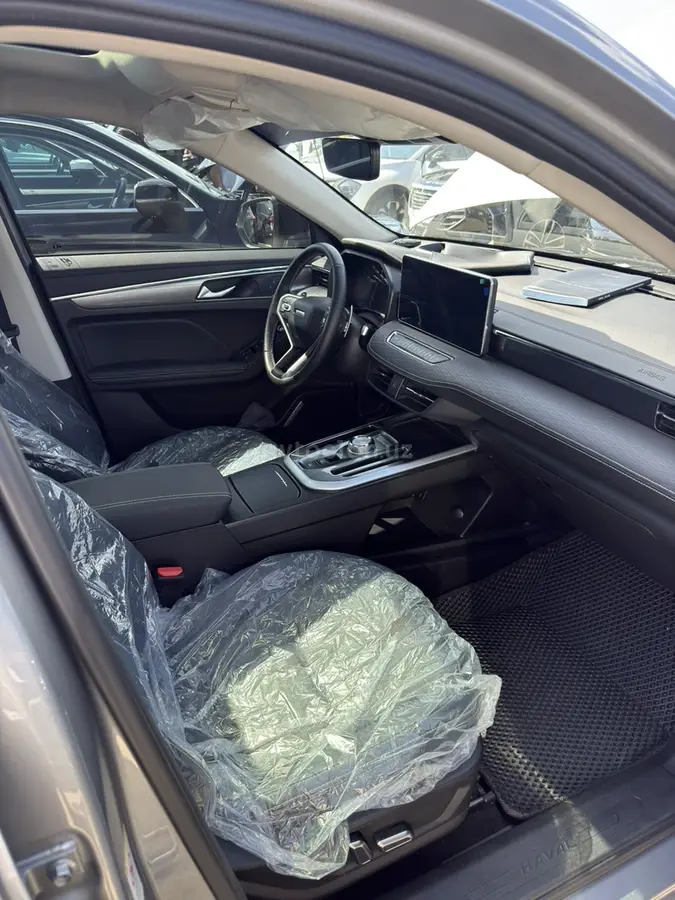 Haval Jolion — 7