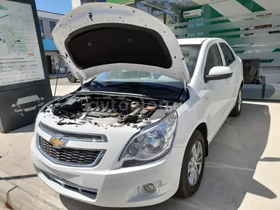 Chevrolet Cobalt, 4 pozitsiya 2024 yil, КПП Avtomat, shahar Toshkent uchun 13 500 у.е. id5109926