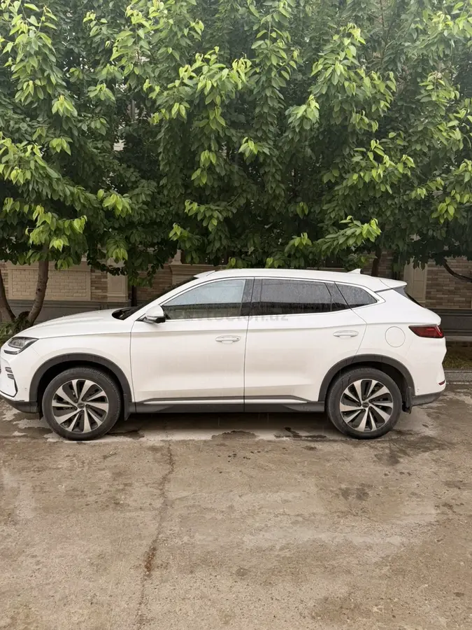 BYD Song Plus EV Champion — 2