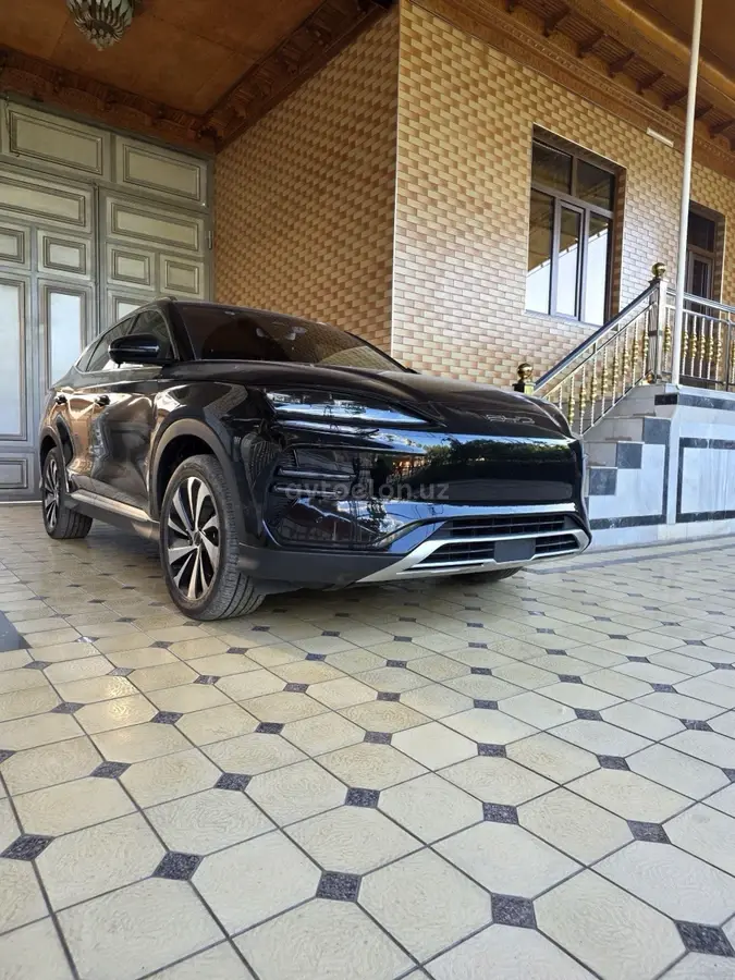 BYD Song Plus EV Champion — 3