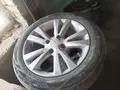 Saka в Бухара за ~87 y.e. id6490561