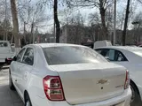 Белый Chevrolet Cobalt, 4 позиция 2021 года, КПП Автомат, в Самарканд за 12 100 y.e. id5037293, Фото №1