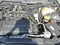 Мокрый асфальт Chevrolet Nexia 2 2014 года, КПП Механика, в Джизак за 6 500 y.e. id5194617