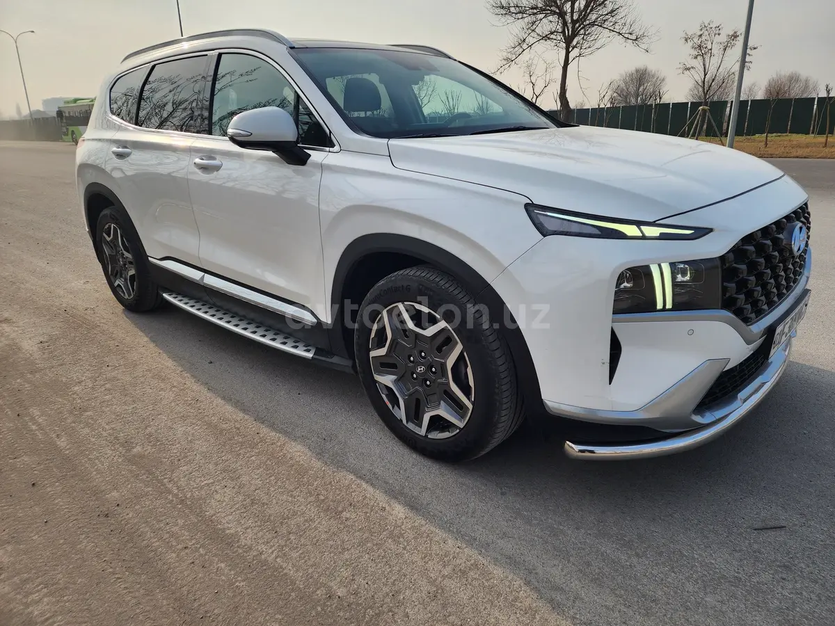 Hyundai Santa Fe 2022 — 10