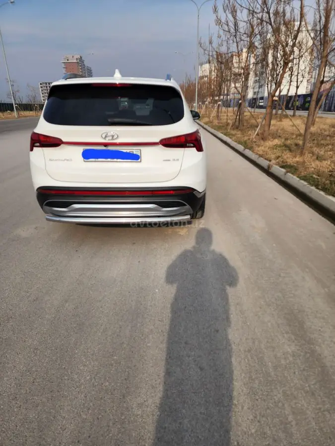 Hyundai Santa Fe 2022 — 8