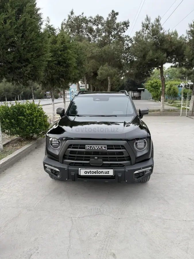 Haval Dargo — 7
