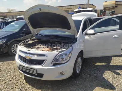 Oq Chevrolet Cobalt, 4 pozitsiya 2019 yil, КПП Avtomat, shahar Andijon uchun 11 500 у.е. id4930037