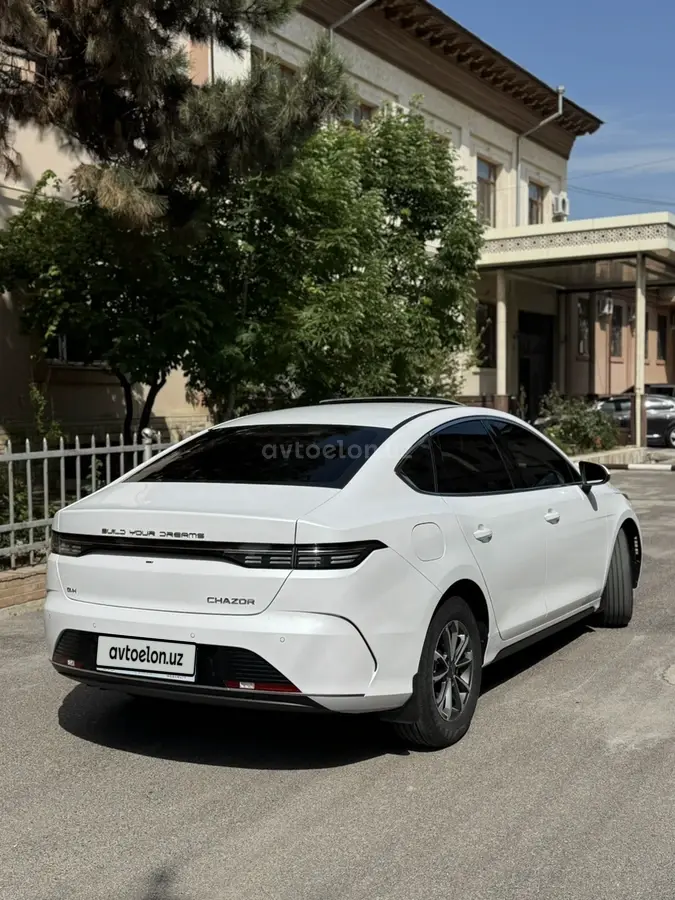 BYD Chazor — 3