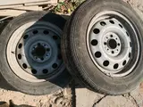 Diska balon в Ташкент за ~36 y.e. id6364463