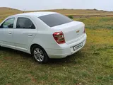 Chevrolet Cobalt, 4 позиция 2024 года, КПП Автомат, в Самарканд за 14 000 y.e. id5028293, Фото №1