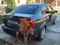Перламутрово-коричневый Chevrolet Nexia 3, 2 позиция 2017 года, КПП Механика, в Сырдарья за 9 500 y.e. id3262522