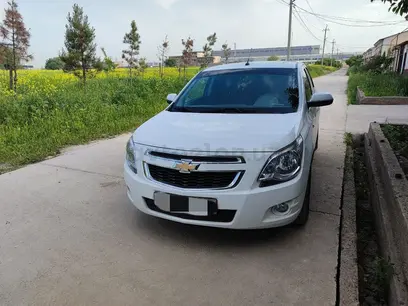 Oq Chevrolet Cobalt, 4 pozitsiya 2022 yil, КПП Avtomat, shahar Toshkent uchun 11 200 у.е. id4992987