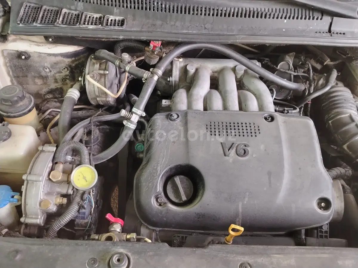 Kia Carnival — 7