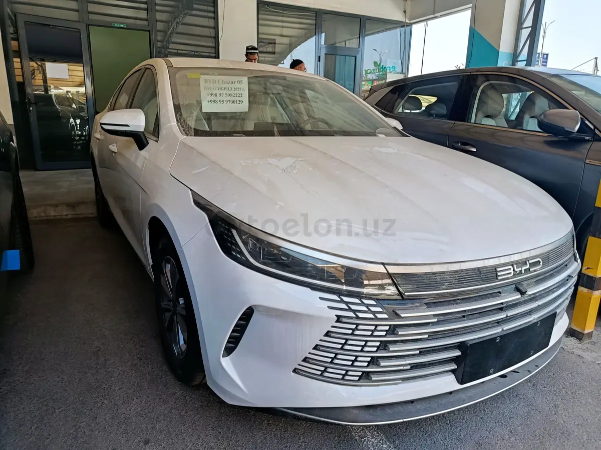 BYD Chazor