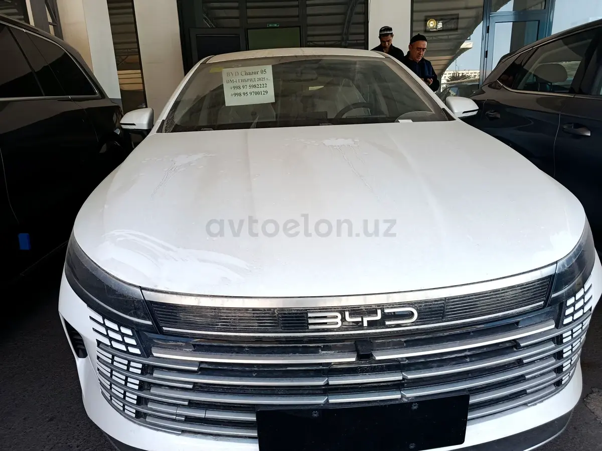 BYD Chazor — 3