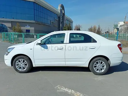 Белый Chevrolet Cobalt, 4 позиция 2024 года, КПП Автомат, в Кошкупырский район за ~13 845 y.e. id4892294