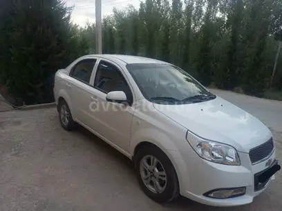 Белый Chevrolet Nexia 3, 4 позиция 2020 года, КПП Автомат, в Амударьинский район за 10 300 y.e. id5163549