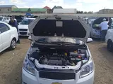 Oq Chevrolet Nexia 3, 4 pozitsiya 2019 yil, КПП Avtomat, shahar Buxoro uchun 10 500 у.е. id5032886