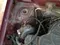 Вишня Daewoo Tico 1999 года, КПП Механика, в Касбийский район за 2 000 y.e. id4989222