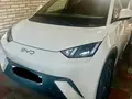 Qaymoq rang BYD Seagull 2025 yil, shahar Samarqand uchun 15 000 у.е. id6490180
