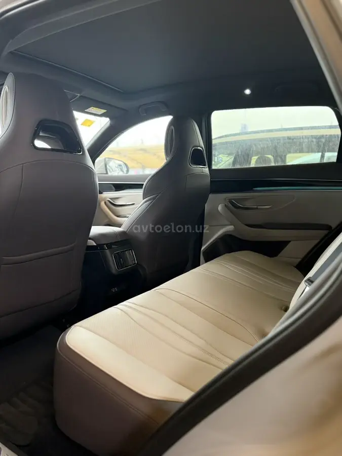 BYD Song Plus EV Champion — 10