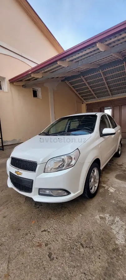 Самарканд тадж махал. Карнаухова самарканд инстаграм. Туристы в бухаре. Фотосессия в бухаре. Архитектурный комплекс шахи зинда.