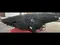 Hyundai Tucson2021 Fara в Самарканд за 400 y.e. id6383968