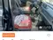 Dong Feng Glory 500 2024 yil, shahar Jizzax uchun 13 500 у.е. id6435842