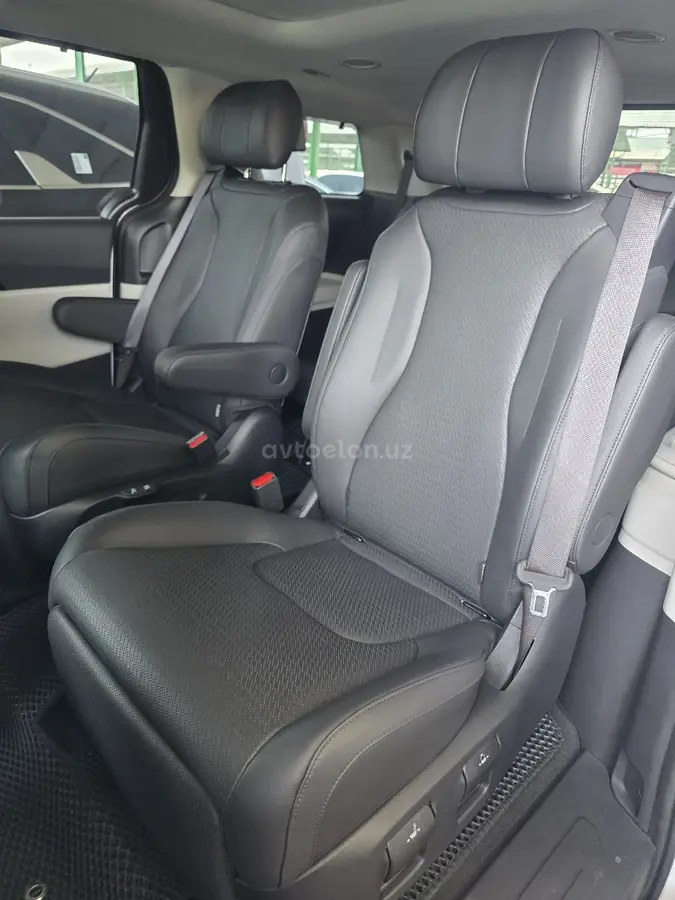 Kia Carnival — 3
