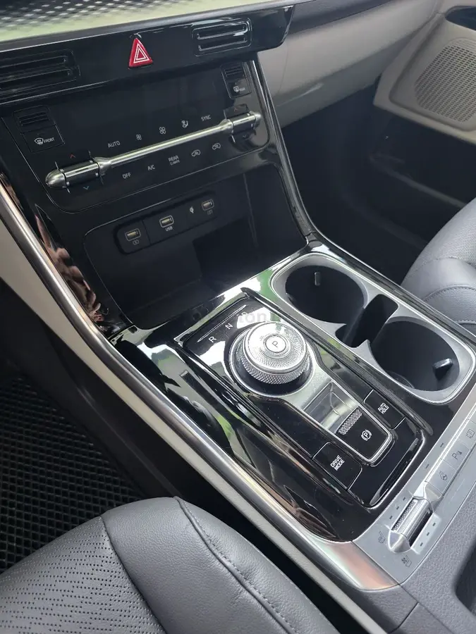 Kia Carnival — 4
