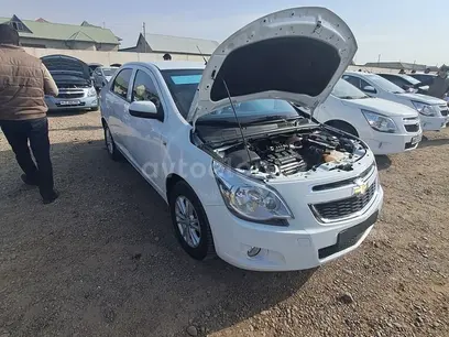 Chevrolet Cobalt, 4 позиция 2024 года, КПП Автомат, в Бухара за 12 800 y.e. id5195494