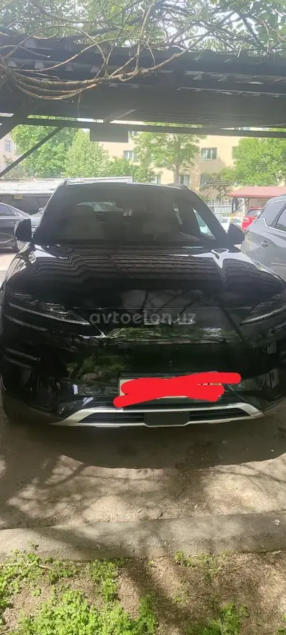 BYD Song Plus EV Champion