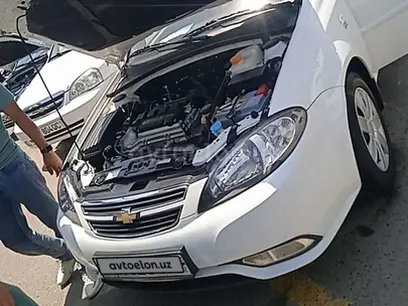 Chevrolet Gentra, 1 pozitsiya 2015 yil, КПП Mexanika, shahar Toshkent uchun 8 700 у.е. id5214733