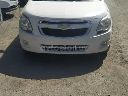 Белый Chevrolet Cobalt, 4 позиция 2024 года, КПП Автомат, в Нукус за ~12 744 y.e. id5203355