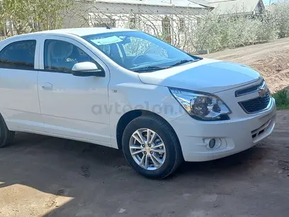 Oq Chevrolet Cobalt, 4 pozitsiya 2024 yil, КПП Avtomat, shahar Urganch uchun ~13 110 у.е. id5150074