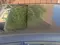Qora Chevrolet Gentra, 3 pozitsiya 2015 yil, КПП Avtomat, shahar Toshkent uchun 9 000 у.е. id5187036