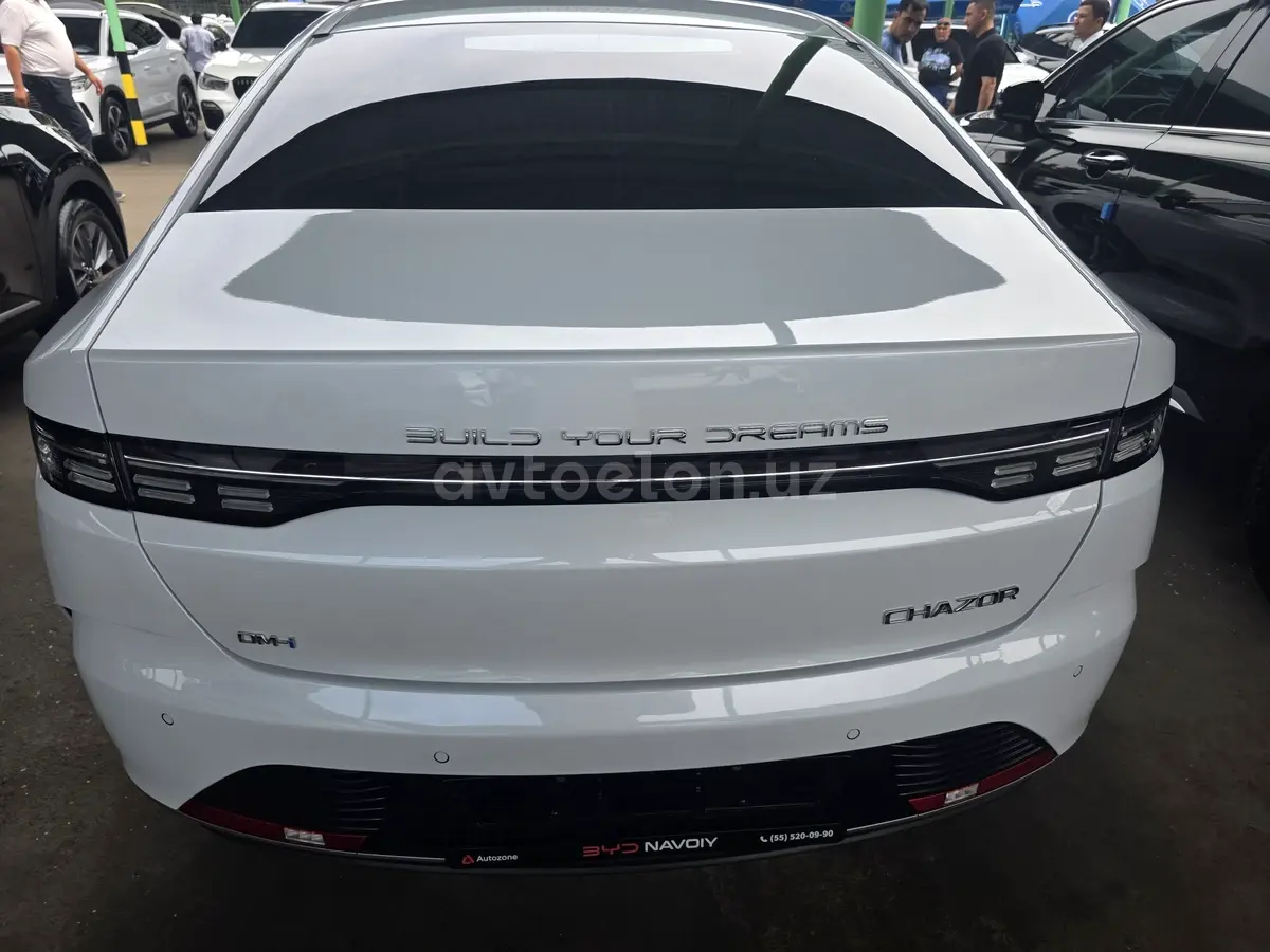 BYD Chazor — 8