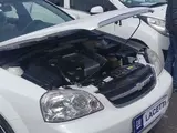 Белый Chevrolet Lacetti, 2 позиция 2009 года, КПП Механика, в Ташкент за 7 300 y.e. id5032710, Фото №1