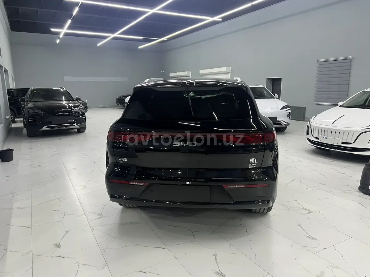 BYD Tang L — 4
