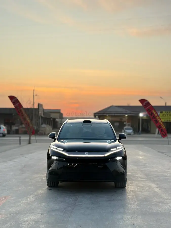 BYD Tang L — 6