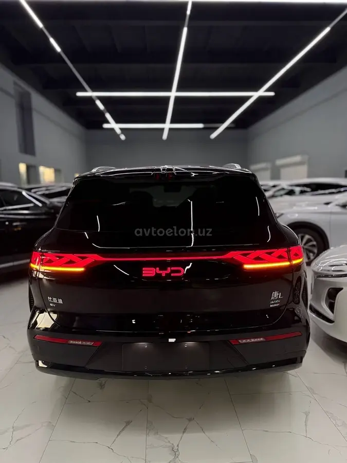 BYD Tang L — 7